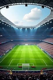 鲁能中卫位置或迎强援