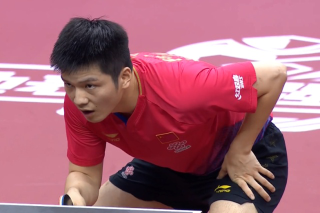 我们看到的 我们看到的